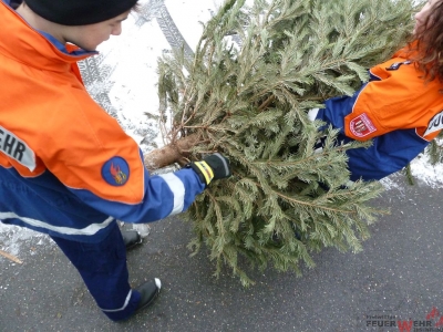 Weihnachtsbaumsammeln 2017_25