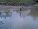 Abfischen 2013