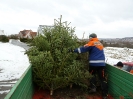 Weihnachtsbaumsammeln 2017_21